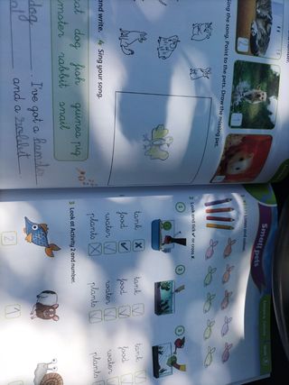 Open Up 1. Activity Book Exam