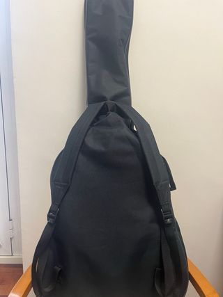 Guitarra Oqan QGA-31 Sunburst + funda (como nueva)