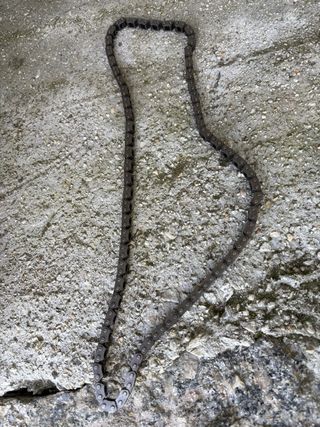 Cadena distribución Suzuki LTZ 400