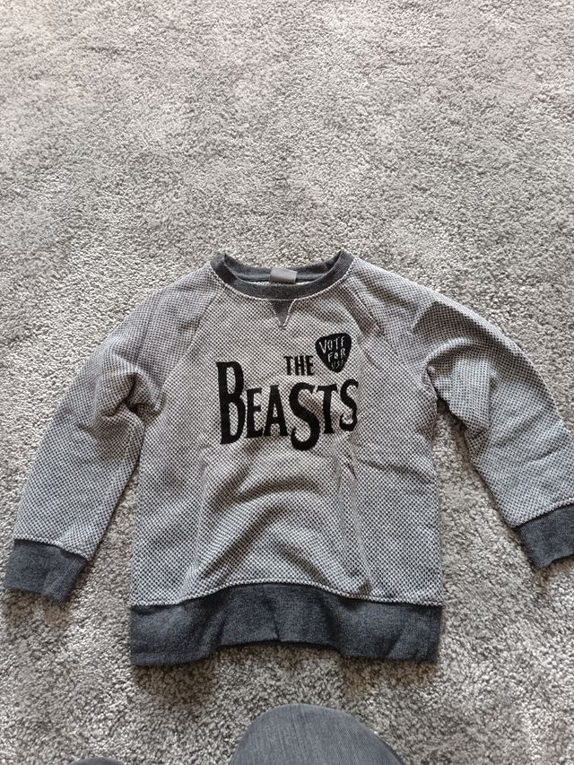 Sudadera niño The Beasts 4 años