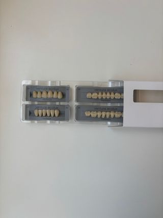 Tablilla Dientes Prótesis Ventura Ecolux