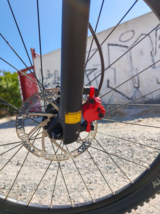 Bicicleta Eléctrica de Montaña