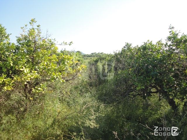 Finca Rústica en Benicull de Xúquer