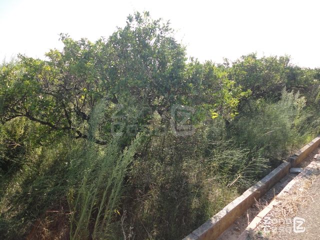 Finca Rústica en Benicull de Xúquer