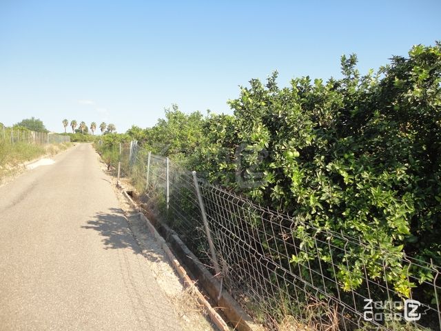 Finca Rústica en Benicull de Xúquer