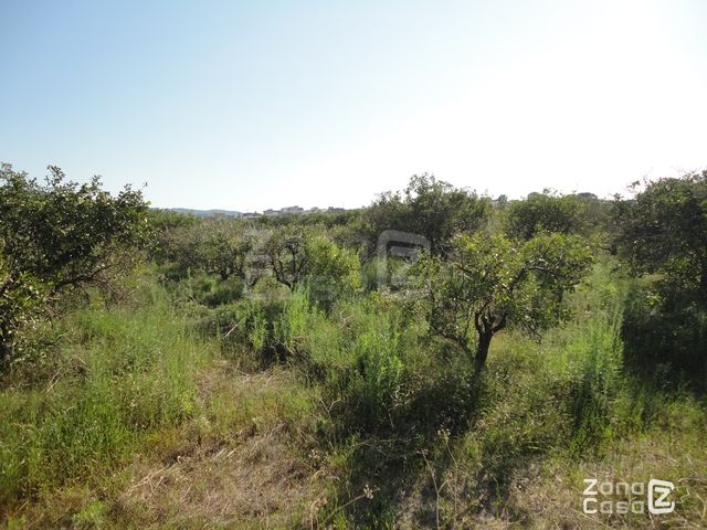 Finca Rústica en Benicull de Xúquer