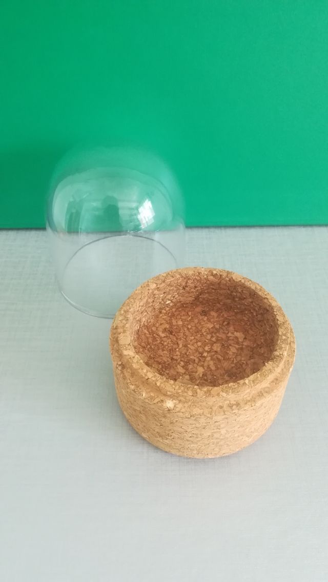 SÓLO esta SEMANA CÚPULA de CRISTAL