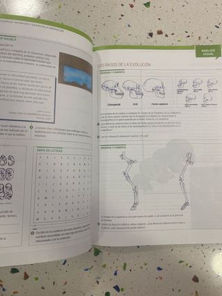 Filosofía TEORIA 1 Bachillerato 1 EDELVIVES