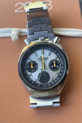 Citizen Bullhead 