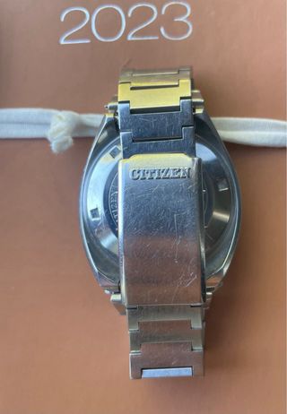 Citizen Bullhead 