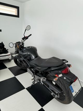 Suzuki Gladius