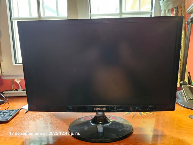 Monitor TV/PC Samsung T24C300 nero