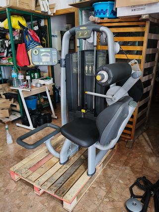 MAQUINA LUMBAR TECHNOGYM!