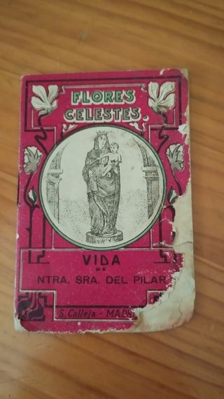 Flores Celestes / Vida Ntra. Sra. del Pilar