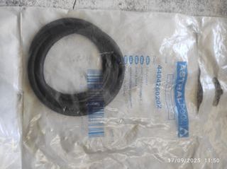 Junta de goma Astralpool 44042602