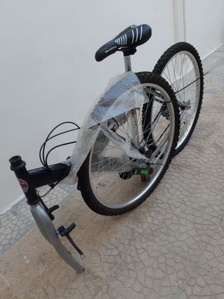 Mountain bike professionale