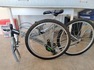 Mountain bike professionale