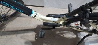 Bicicleta Eléctrica Paseo 29 Motor Central