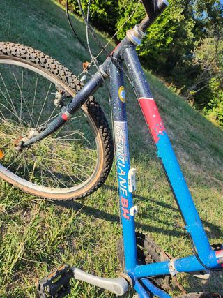 Bicicleta BH GENTIANE 