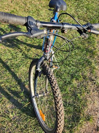 Bicicleta BH GENTIANE 