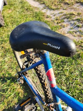 Bicicleta BH GENTIANE 