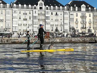 Tabla Paddle Surf Naish Glide