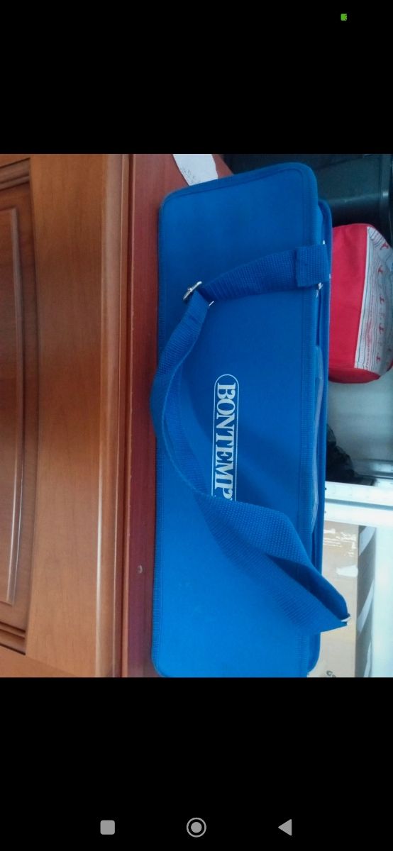 Bontempi Diamonica usata poco