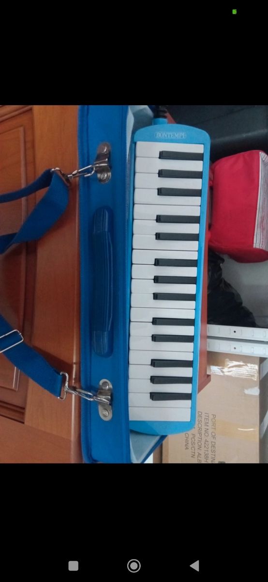 Bontempi Diamonica usata poco