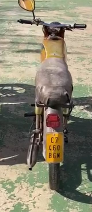 Moto Derbi Antorcha Tricampeona SIN DOCUMENTOS 