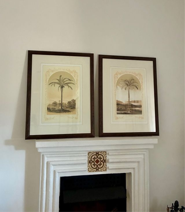 Duas folhas de palmeiras emolduradas