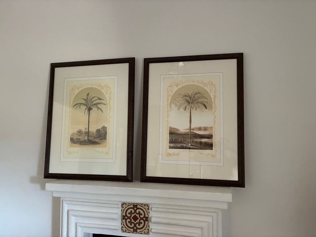 Duas folhas de palmeiras emolduradas