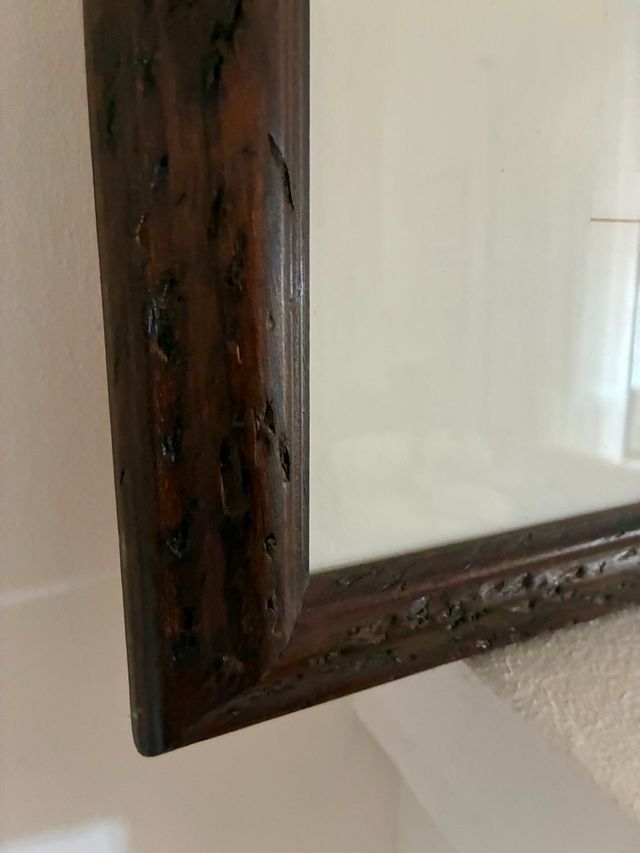 Duas folhas de palmeiras emolduradas