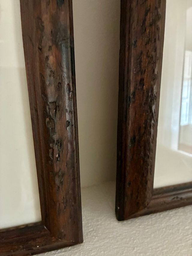 Duas folhas de palmeiras emolduradas