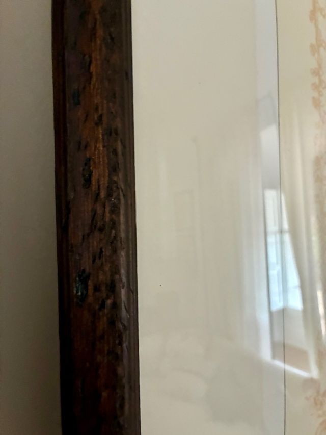 Duas folhas de palmeiras emolduradas