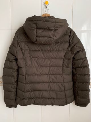 Plumas Tommy Mujer