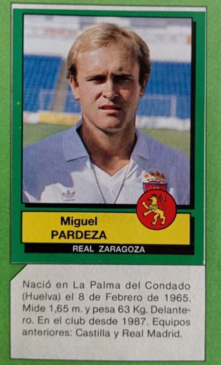 REAL ZARAGOZA LOTE 66 CROMOS RECORTADOS AÑOS 80