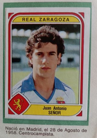 REAL ZARAGOZA LOTE 66 CROMOS RECORTADOS AÑOS 80
