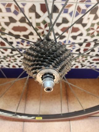 Rueda Trasera Mavic Aksium Race