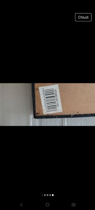 Quadro cinese con inserto Bamboo