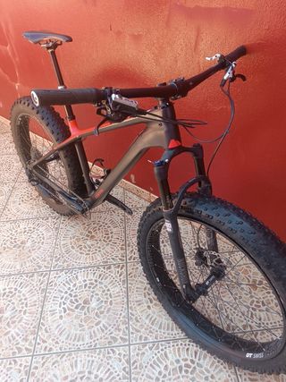 Canyon Dude CF Fat Bike