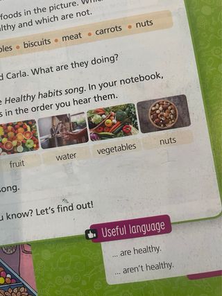 Natural Science 3 primaria Edelvives Macmillan