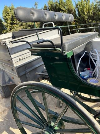 Carro de caballos verde
