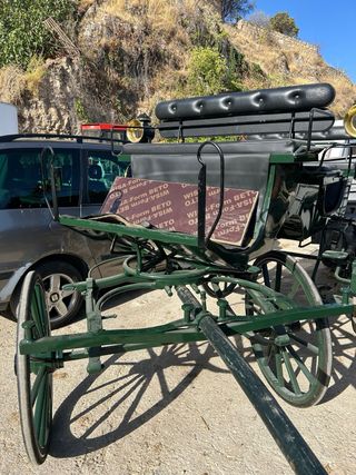 Carro de caballos verde