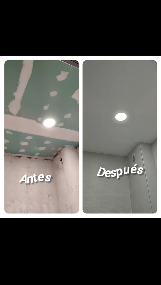 Servicios de Pintura Profesional