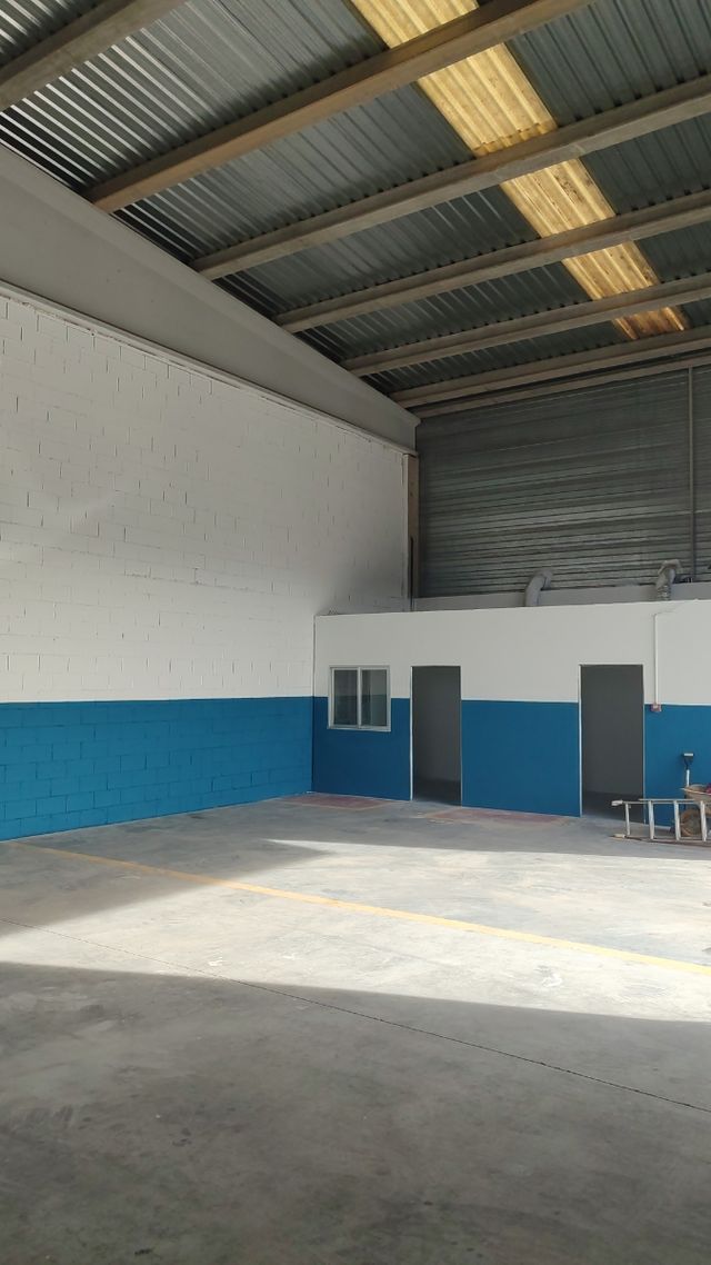 Servicios de Pintura Profesional