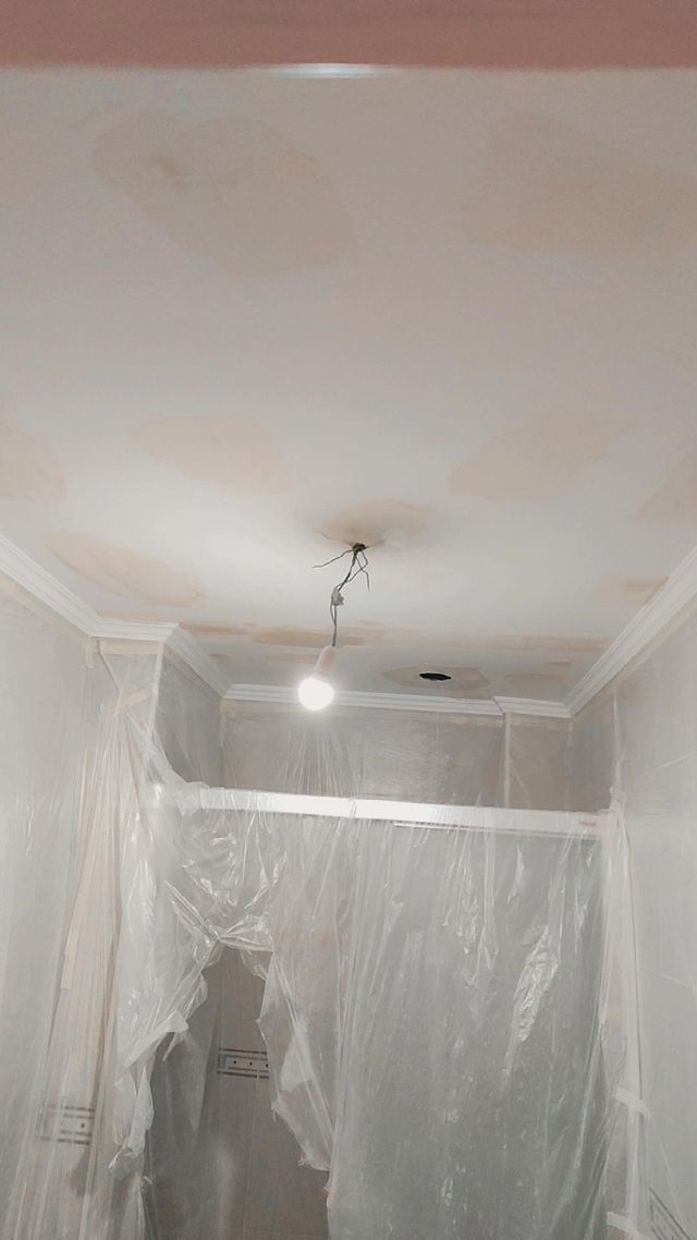 Servicios de Pintura Profesional