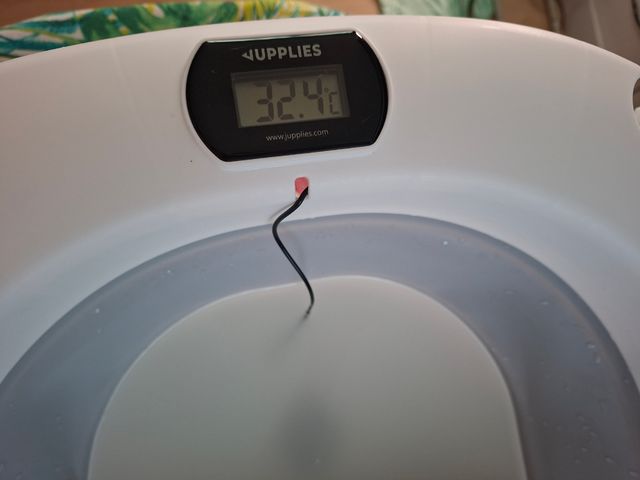 Bañera de bebé plegable con termómetro incorporado