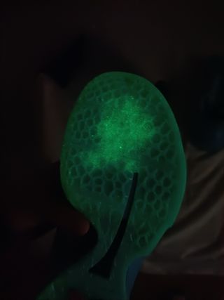 Nike Kobe 6 Ice Grinch 