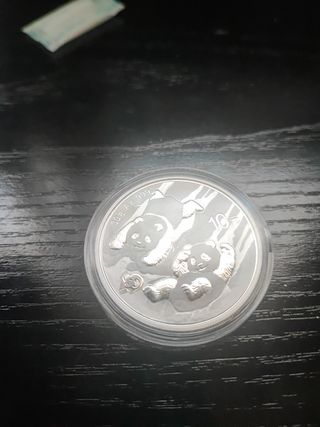 Moneda Plata Panda Chino 30g Ag .999 2022