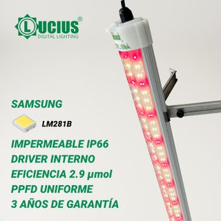Luz LED Cultivo Lucius 120W Refuerzo